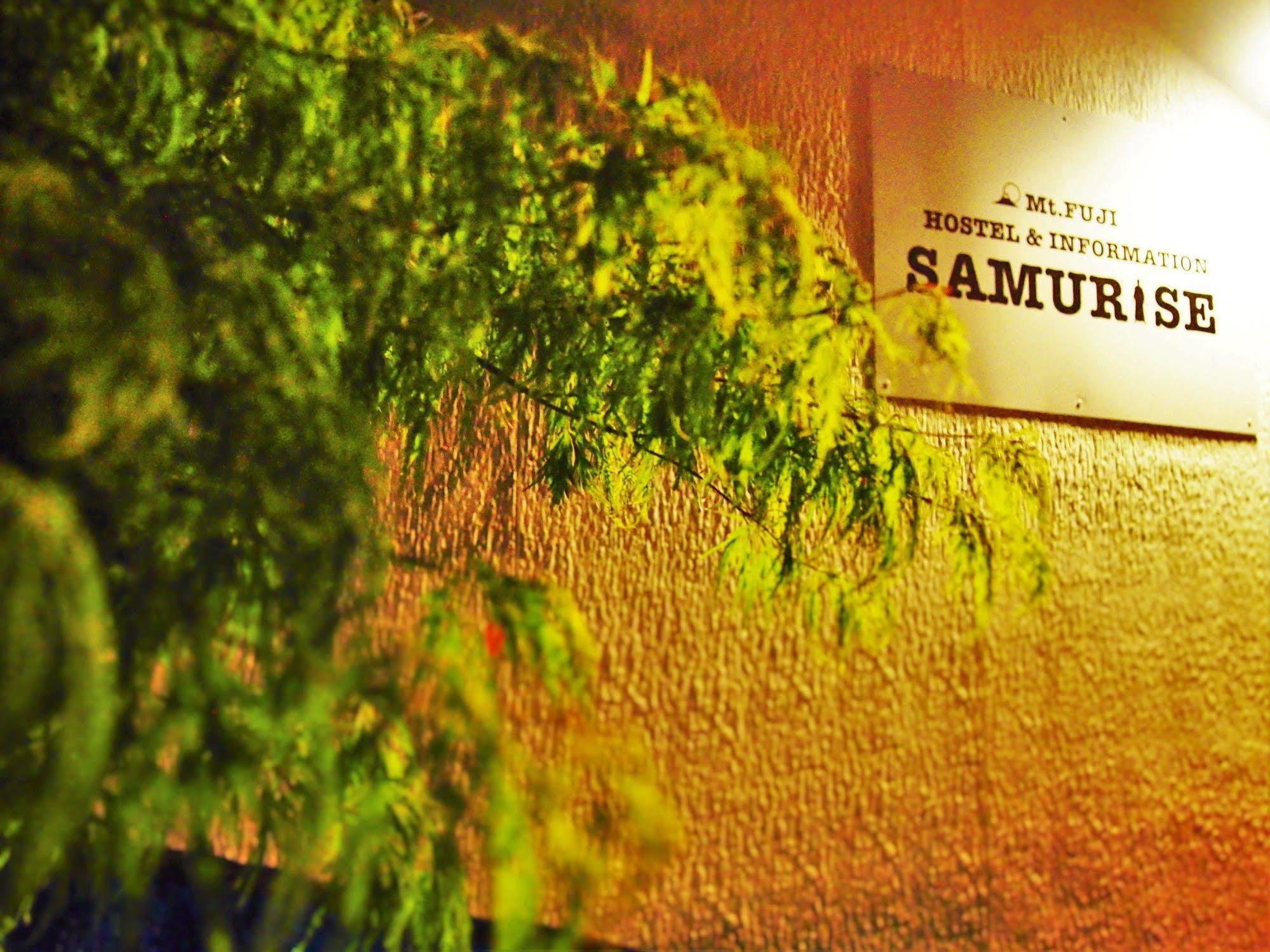 פוג'יקאוואגוצ'יקו Hostel Samurise Mt Fuji מראה חיצוני תמונה